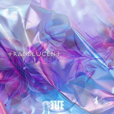 TRANSLUCENT