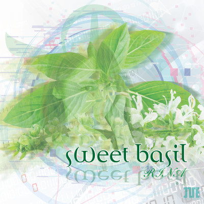 sweet basil