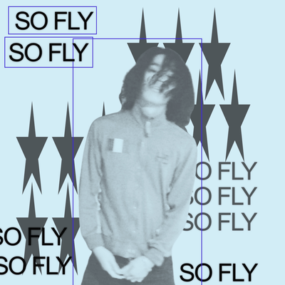 SO FLY