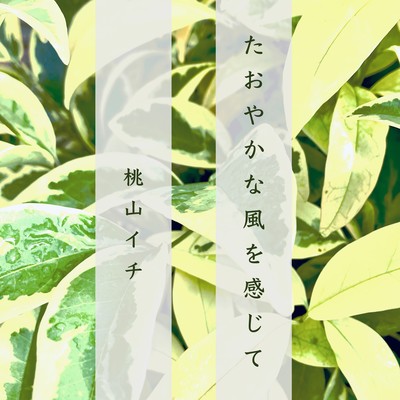 Feel the Gentle Breeze