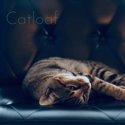 catloaf