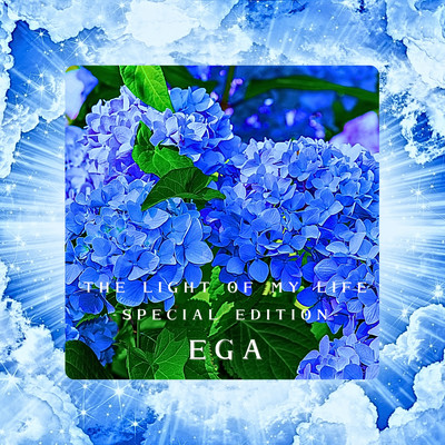 THE LIGHT OF MY LIFE (Special Edition)