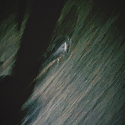 It's a Wonderful Life