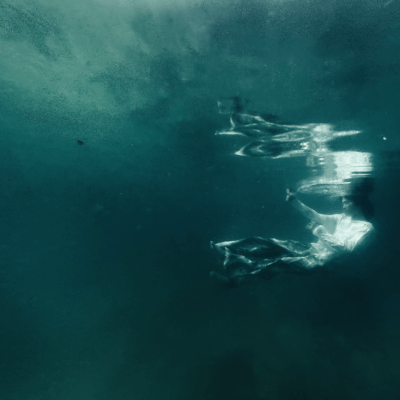 coelacanth morning