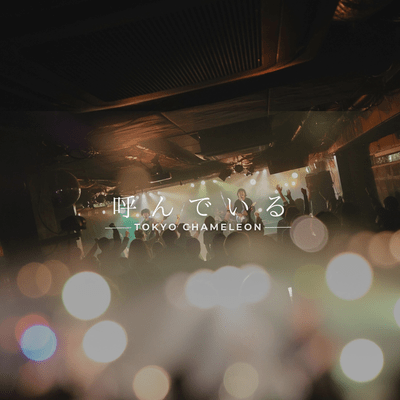 Yondeiru (2025 ver.)