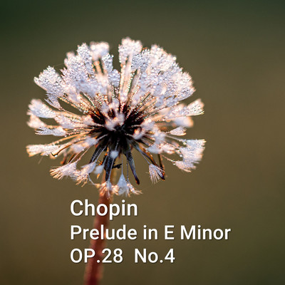 Chopin Prelude Op.28, No.4