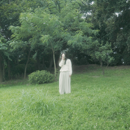 shosi kei