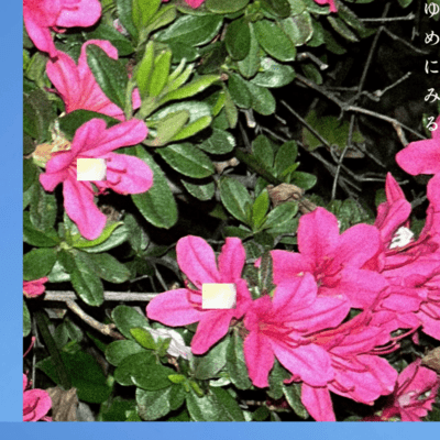 you many mill (feat. yella goat)