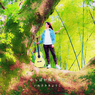 Kappa flew in the sky