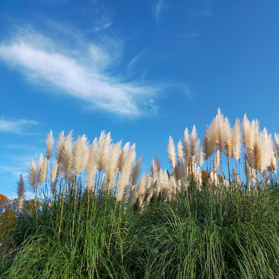 Where does the wind come from?