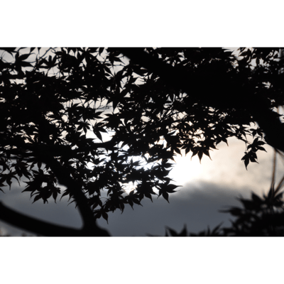 I don't want to play the same thing