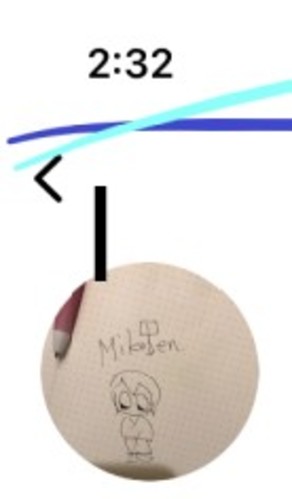 Mikoten Brandy Whiskey