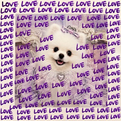 SO MANY LOVES!