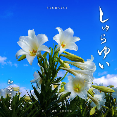 Shurayui