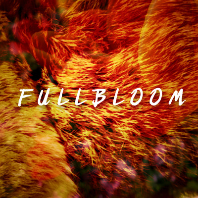 full bloom