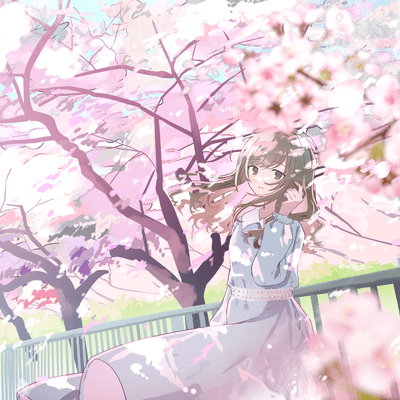 Sakura in Splendor