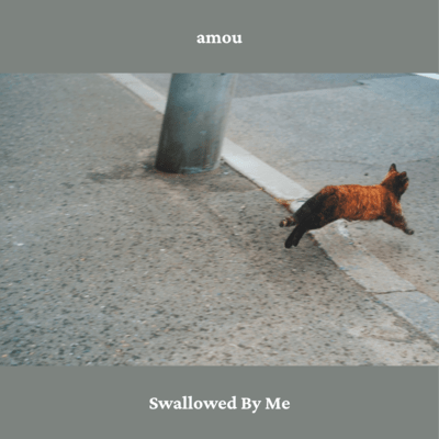 Swallowed By Me