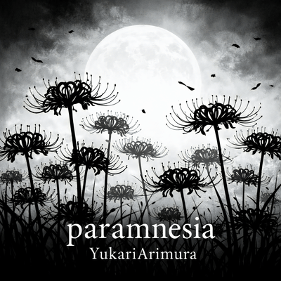 paramnesia