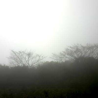 Alley Cat, Call Me Back (a cappella YUUNØ)