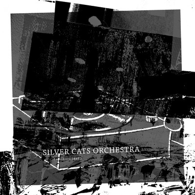 SILVER CATS ORCHESTRA