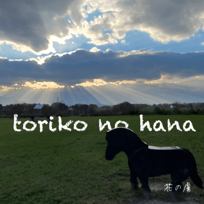 toriko no hana