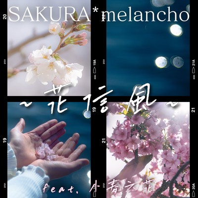 KA-SHIN-FU (feat. Koharu Rikka)