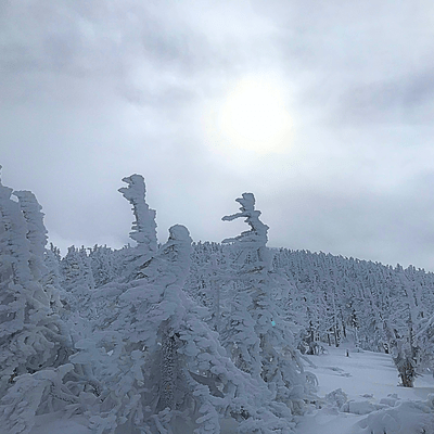 Snowfield