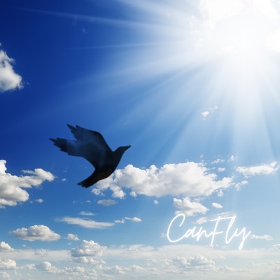 Can Fly