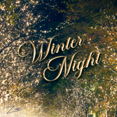 Winter Night