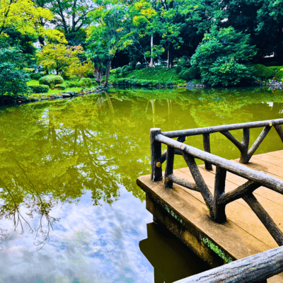 Lakeside Rest