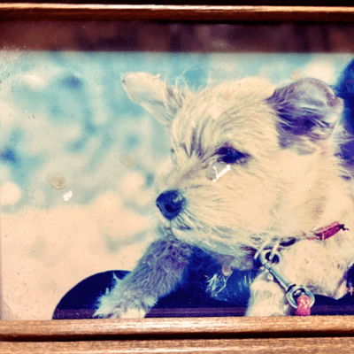 From the train window