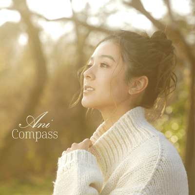 Compass