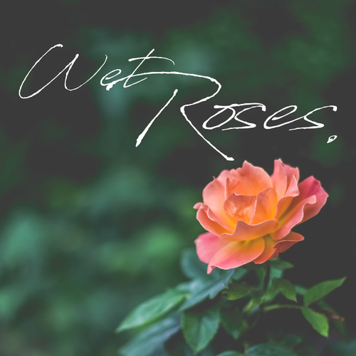 Wet Roses