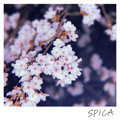 SPICA
