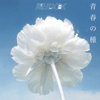 Seishun no Tane