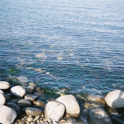 A day in Summer