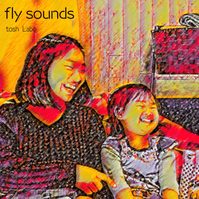 Fly Sounds