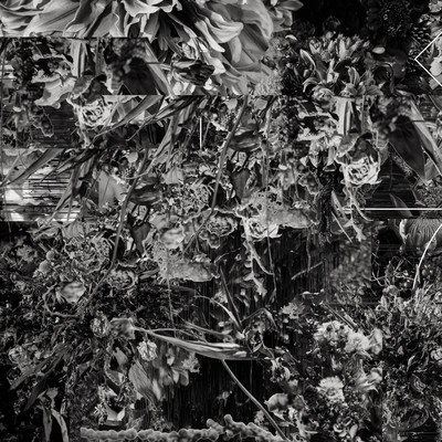 This is a trailer Part1.