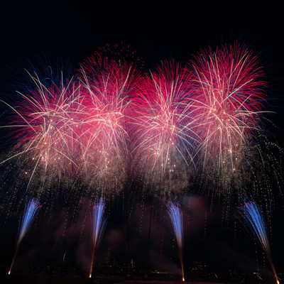 YUMEHANABI