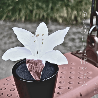 Summer vacation swaying whitely