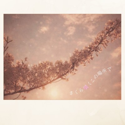 Where Sakura Blooms Here