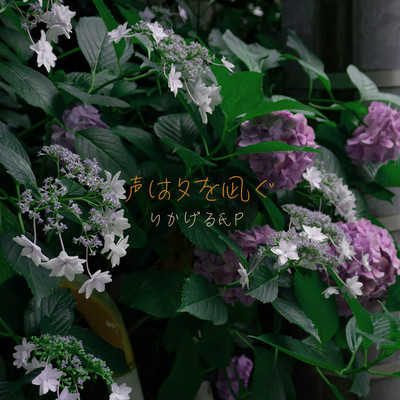 koe wa yuu wo nagu (feat. HATSUNE MIKU)