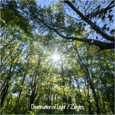 Destination of Light