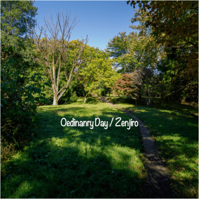 Ordinary Day