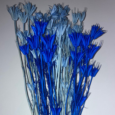 fly flower