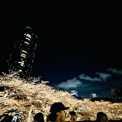 THE ZOS KIA CULTUS b