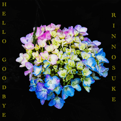 Hello, Goodbye