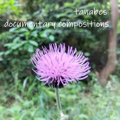 documentary compositions