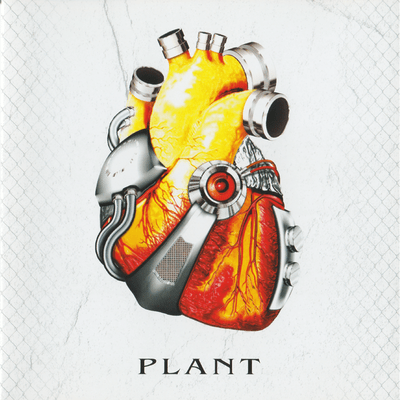 PLANT