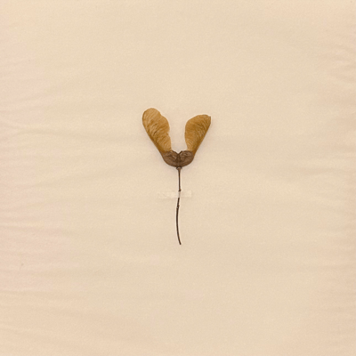 botanical work